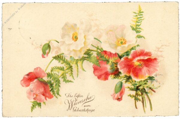 geburtstag, mohnblumen