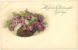 geburtstag, veilchen in schale