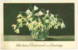 geburtstag, schneeglöckchen