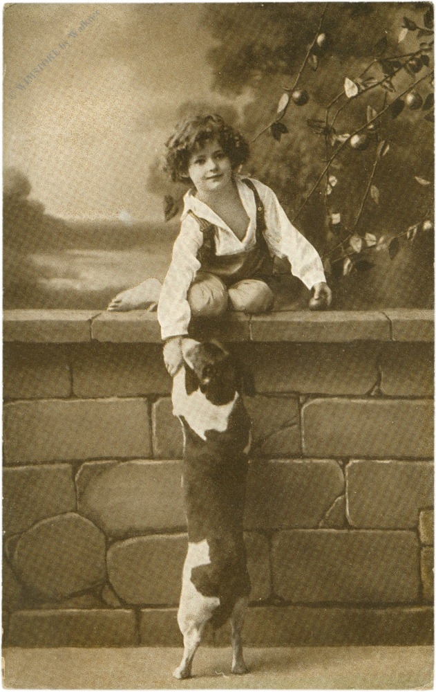 bub mit hund bub mit hund