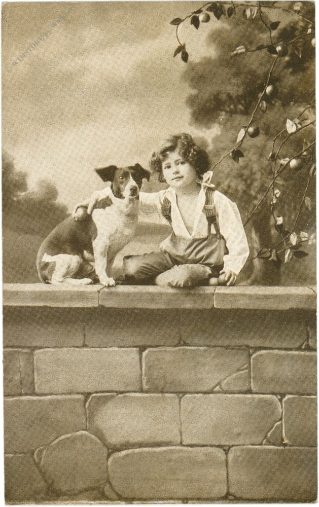bub mit hund auf einer mauer bub mit hund auf einer mauer