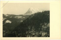 gipfelansicht