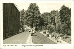 bad rothenfelde, pony gespanne am gradierwerk
