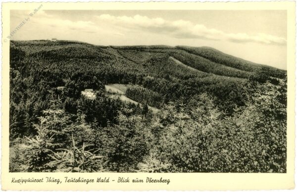 bad iburg, blick zum dörenberg, teutoburger wald