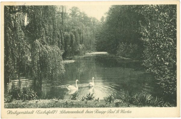 bad heiligenstadt, schwanenteich beim kneipp bad st. martin