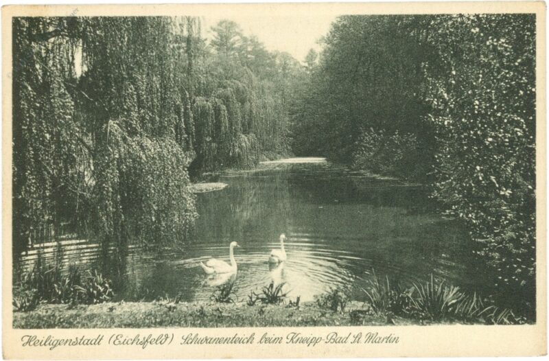 bad heiligenstadt, schwanenteich beim kneipp bad st. martin bad heiligenstadt, schwanenteich beim kneipp bad st. martin