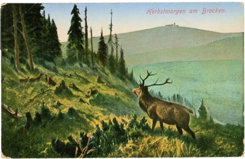 brocken, herbstmorgen brocken, herbstmorgen