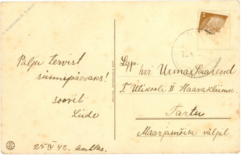 kleinkind spielt mit zwei hunden