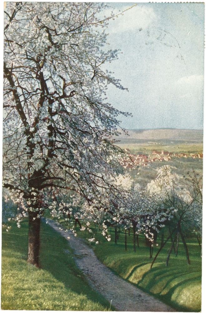 frühlingslandschaft frühlingslandschaft