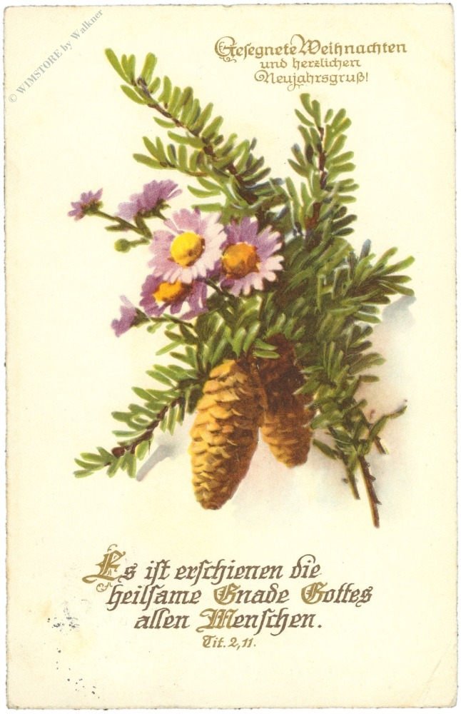 weihnachten, zweig mit blumen und zapfen weihnachten, zweig mit blumen und zapfen