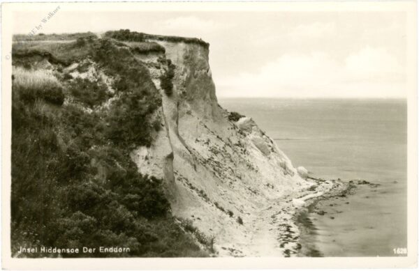 insel hiddensee, der enddorn