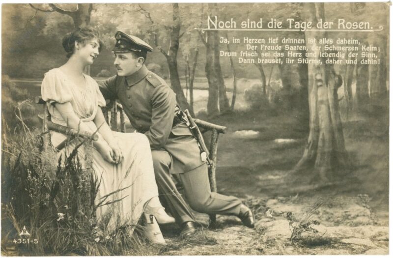 noch sind die tage der rosen... noch sind die tage der rosen...