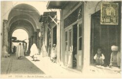 tunis, ansicht tunis, ansicht