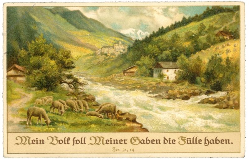 schafe weiden am fluss schafe weiden am fluss