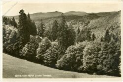 hohegeiß, blick vom hotel dicke tannen