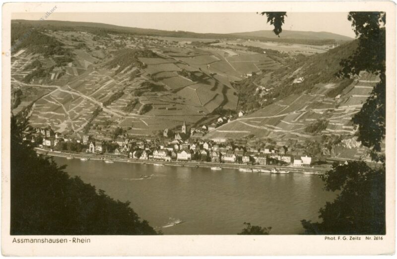 rüdesheim, assmannshausen, rhein rüdesheim, assmannshausen, rhein