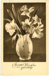 geburtstag, narzissen in vase