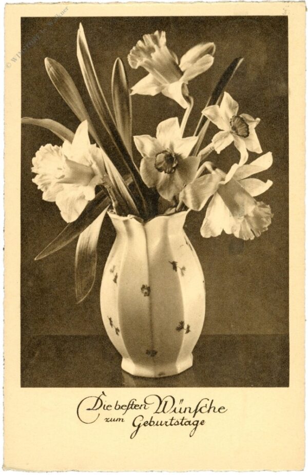 geburtstag, narzissen in vase