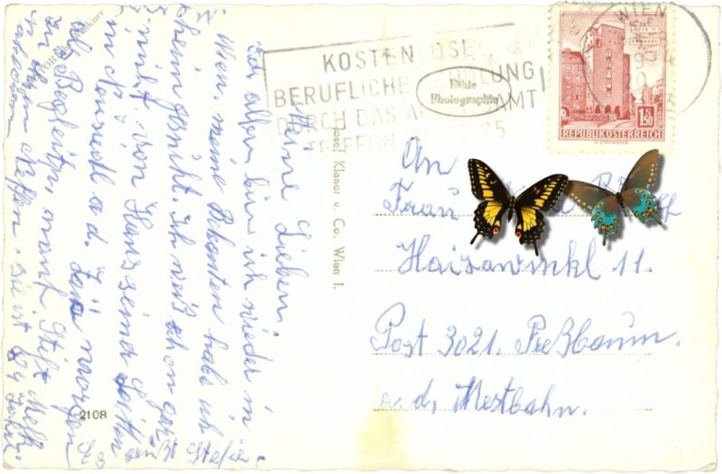 wien 21, donaufeld, multiansicht