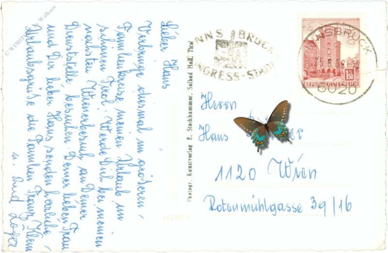 fritzens, mit walderkamm