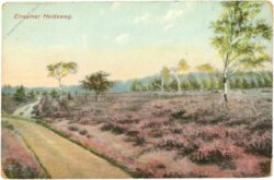 einsamer heideweg einsamer heideweg