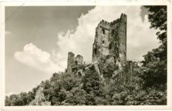 königswinter, burg drachenfels