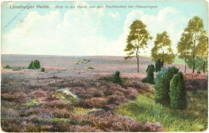 lüneburger heide, blick in die heide von den fischteichen bei hösseringen lüneburger heide, blick in die heide von den fischteichen bei hösseringen