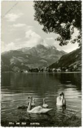 zell am see, ortsansicht