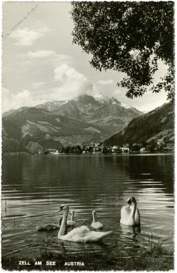 zell am see, ortsansicht