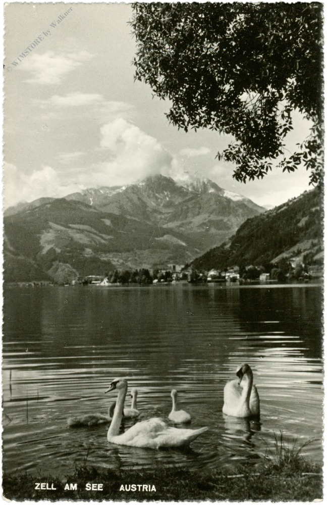 zell am see, ortsansicht zell am see, ortsansicht