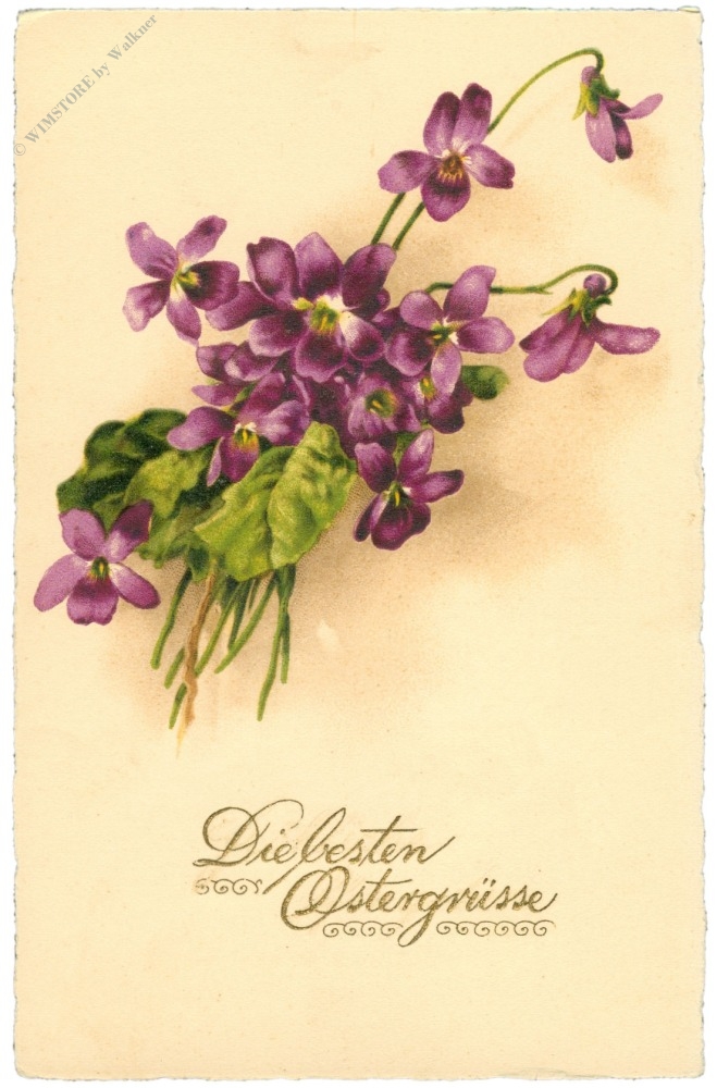 ostern, veilchen