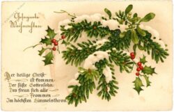 weihnachten, verschneite zweige