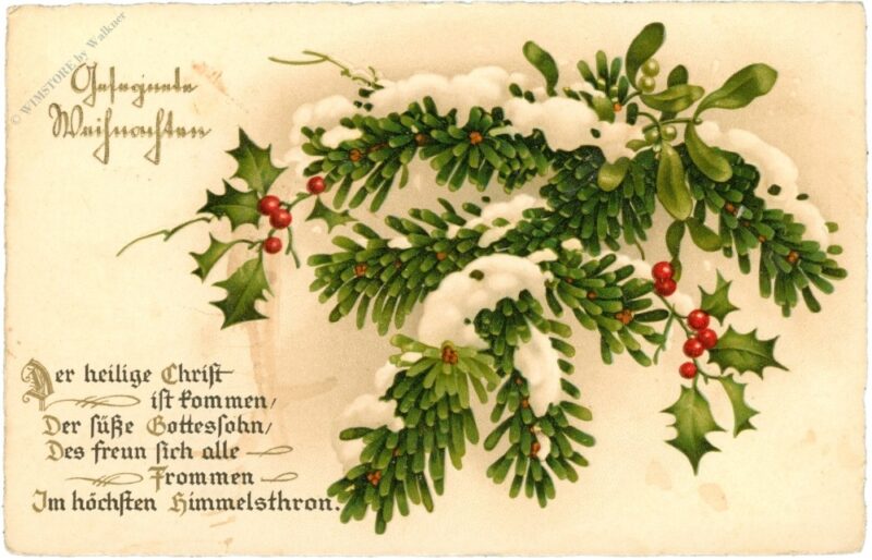 weihnachten, verschneite zweige weihnachten, verschneite zweige
