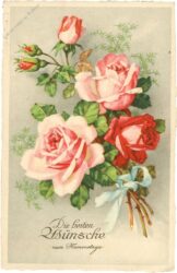 namenstag, rosen namenstag, rosen