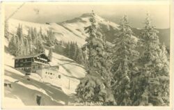 kitzbühel, berghotel bichl alm