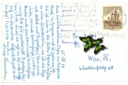 lunz am see, mit Ötscher und scheiblingstein