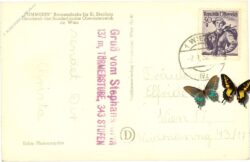 wien 1, stephansdom, pummerin