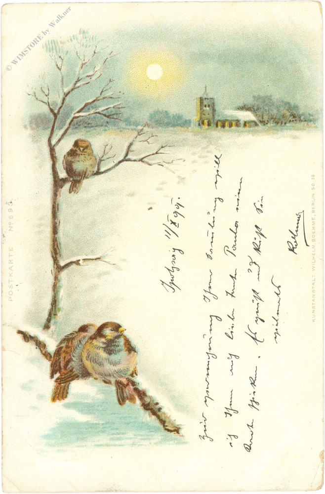 vögel im winter
