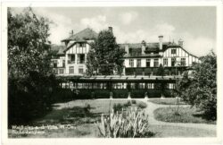 waidhofen an der ybbs, buchenbergheim