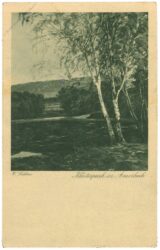 trübner, w.: klosterpark in amorbach