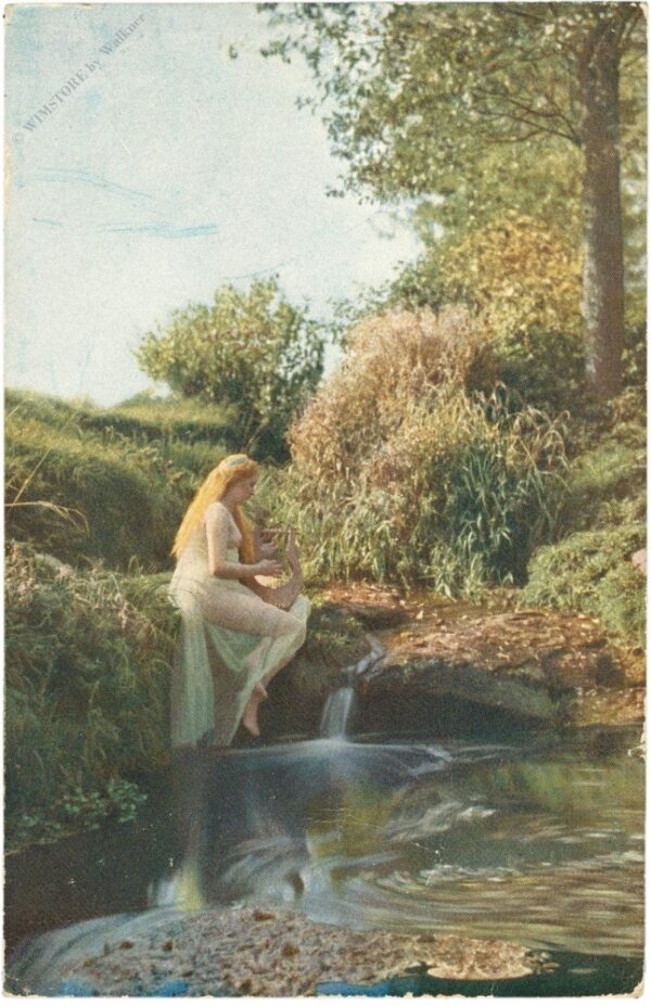 dame am wasser dame am wasser