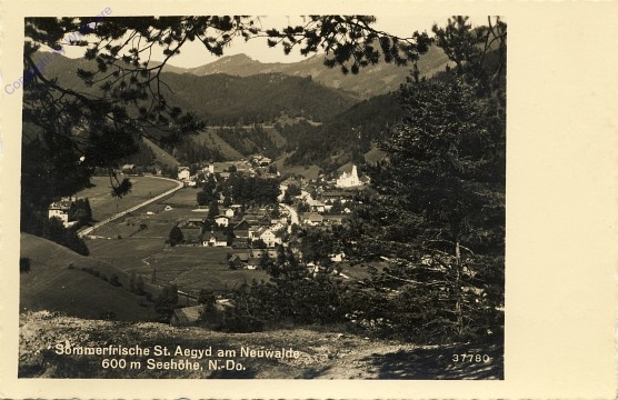 St. Aegyd am Neuwalde, Ortsansicht von oben