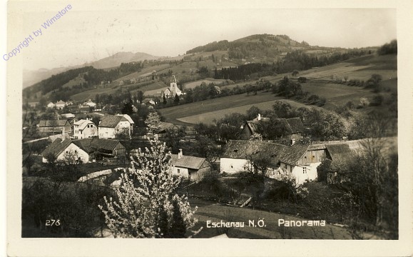 ak100135 Eschenau, Panorama