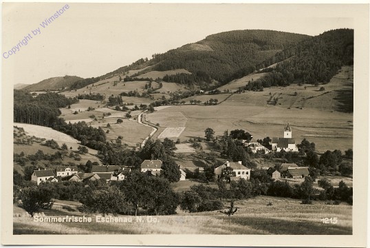 ak100143 Eschenau, Ortsansicht