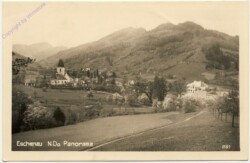 ak100433a Eschenau, Ortsansicht