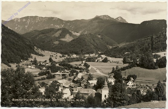 ak100493 Göstling, Panorama