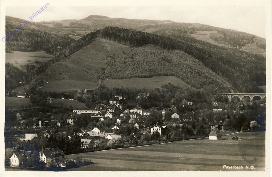 Payerbach, Ortsansicht