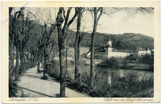 Lilienfeld, Stift von der Dörfl-Promenade