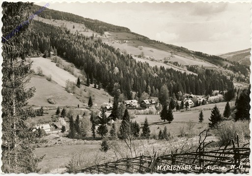 ak100790 Mariensee bei Aspang, Ortsansicht