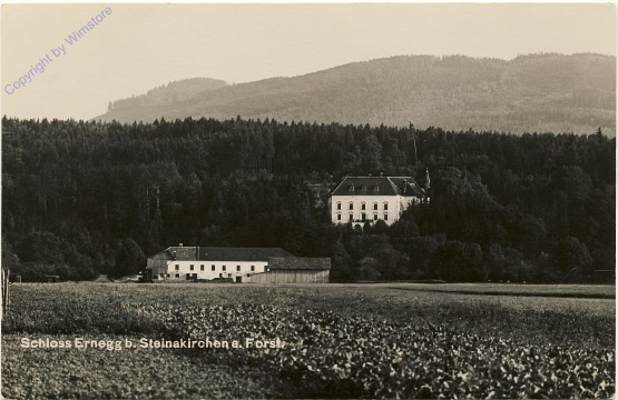 Steinakirchen am Forst, Schloss Ernegg